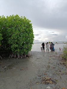 Maryland Mangrove Island in Ashtamudi, india