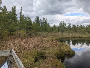 Volo Bog State Natural Area in Fox lake, united states