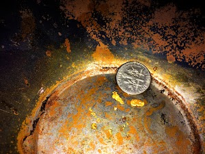 California Gold Panning in Twain harte, united states