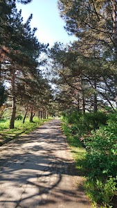 Botanical Garden in Bishkek, kyrgyzstan