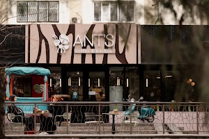 ANT'S in Bishkek, kyrgyzstan