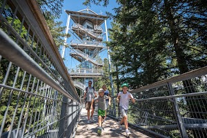 Waldwelt Skywalk Allgäu in Wangen Im Allgäu, germany