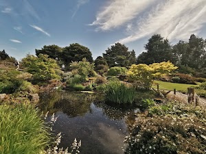 Royal Botanic Garden Edinburgh in Itacaré, brazil