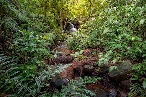 Municipal Monte Seguín Natural Park in Puerto rico, argentina