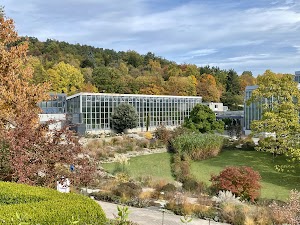 Botanischer Garten der Universität Tübingen in Tübingen, germany