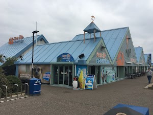 Sealife Adventure in Southend on sea, united kingdom