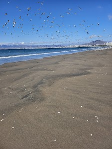 Playa Changa “Sánchez" in Coquimbo, chile
