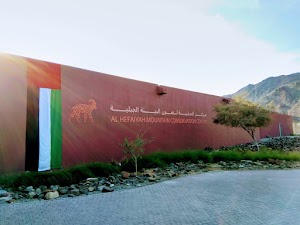 Al Hefaiyah Mountain Conservation Center in Al dhaid, united arab emirates