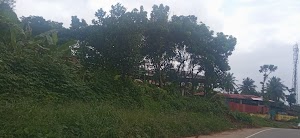 Mangalamkunnu Elephant Castle in Ottapalam, india