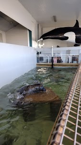 Seaside Aquarium in Gearhart, united states
