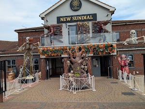 Toney Minchella @ the park in South shields, united kingdom