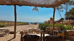 Noé Bar-Restaurant Presqu'île de Giens in Hyères, france