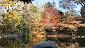 Lower duck pond in Ashland, united states