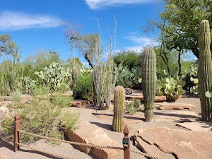 Ethel M Botanical Cactus Garden in Henderson, united states