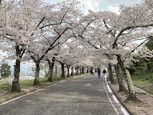Joyama Park in Matsumoto, japan
