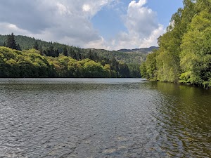 Faskally Forest in Pitlochry, united kingdom