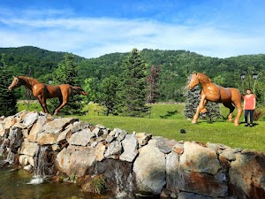 Parc de recreere (Parcul cu cai) in Căciulata, romania