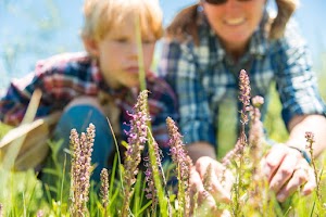 Big Sky Adventures & Tours in Big sky, united states
