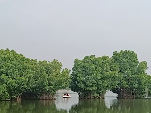 Mundrothuruthu in Ashtamudi, india