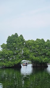 Mundromocktail Boating in Ashtamudi, india