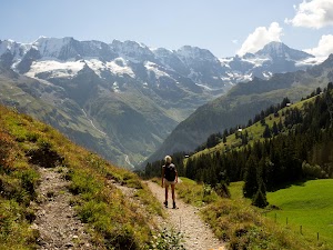 Flower Trail in Lauterbrunnen, switzerland