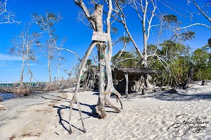 Mangue Morto de Guriú Camocim in Jericoacoara, brazil