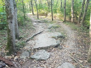 Landahl Mountain Bike Park in Independence, united states
