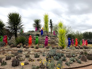 Desert Botanical Garden in Kebumen, indonesia