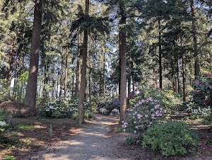 Homestead Park in University place, united states