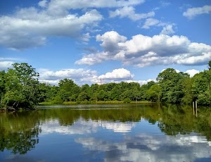 Claude Moore Nature Center in Dulles, united states