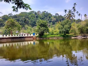 Wayanad Adventure Camp in Padinjarathara, india