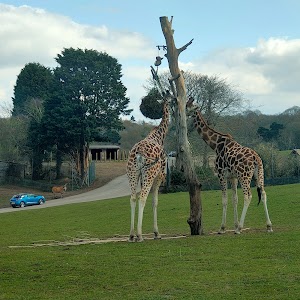 West Midlands Safari Park in Kebumen, indonesia