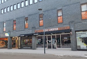 Texas Longhorn in Halmstad, sweden