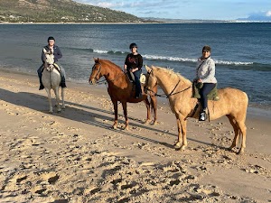 Rutas a Caballo Tarifa in Tarifa, spain