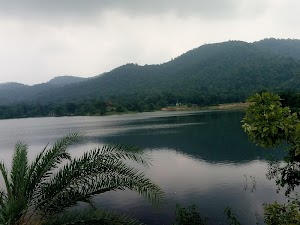 Ratanmahal Sloth Bear Sanctuary in Dahod, india