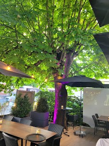 Beckenburg das Restaurant in Schaffhausen, switzerland