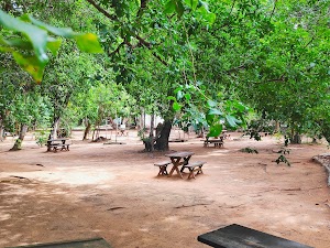 Bosque dos Namorados do Parque das Dunas in Natal, brazil
