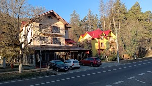 Pensiune Restaurant Ewelin in Căciulata, romania