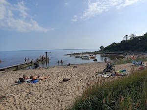 Rhododendron park in Halmstad, sweden
