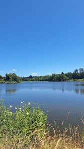 Neuravensburger Weiher in Wangen Im Allgäu, germany
