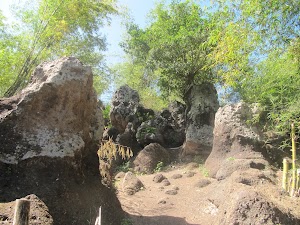 Cardona Rock Garden in Cardona, philippines
