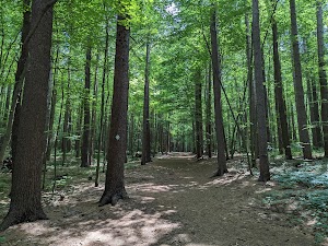 Kinns Road Park in Clifton park, united states