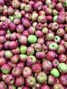 Bowman Orchards in Clifton park, united states