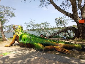 Santuario de las Iguanas in Túxpam De Rodríguez Cano, mexico