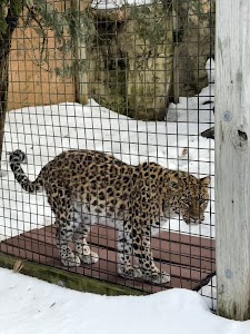 Capron Park Zoo in Attleboro, united states