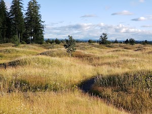 Mima Mounds Natural Area Preserve in Grand mound, united states