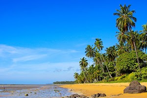 Praia de Japaratinga in Japaratinga, brazil