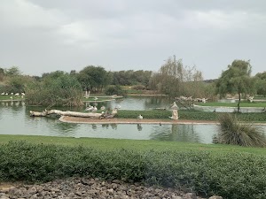 Wasit Wetland Centre in Al dhaid, united arab emirates