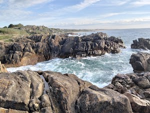Praia Castro de São Paio in Vila do conde, portugal