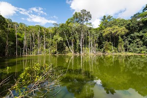 Parque Municipal de Maceió in Maceió, brazil